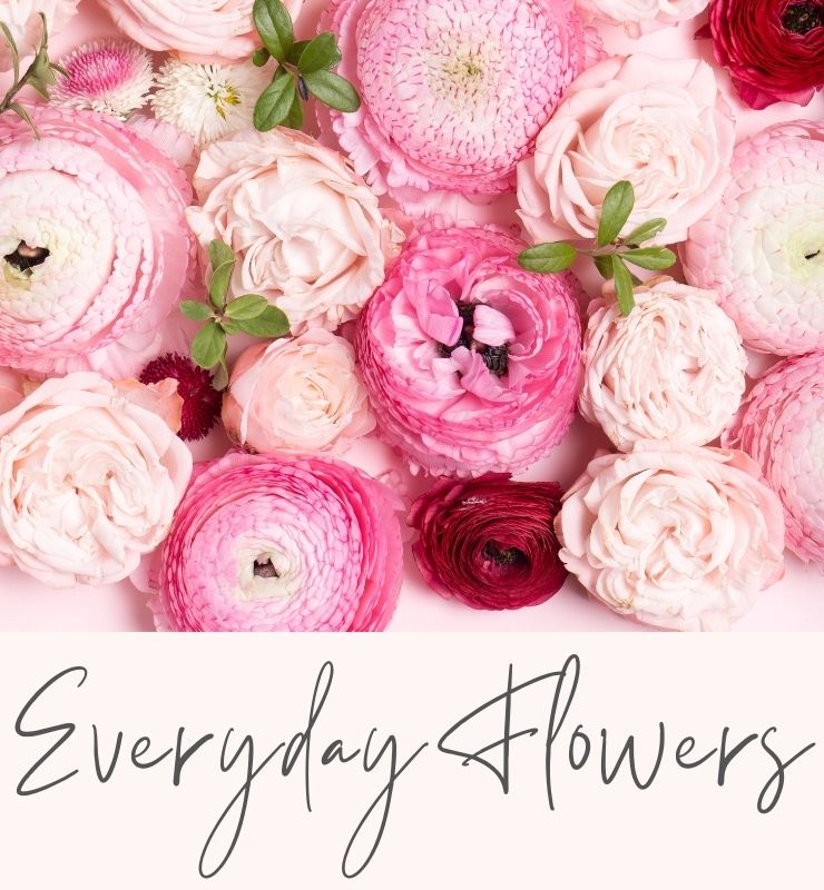 flower delivery in charlotte nc